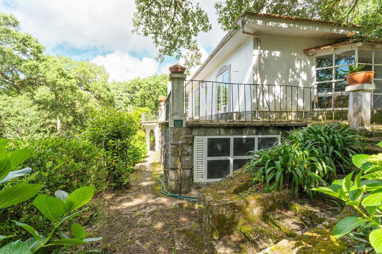 Quinta Biologica, Com Vista, Na Serra De Sintra Eksteriør bilde