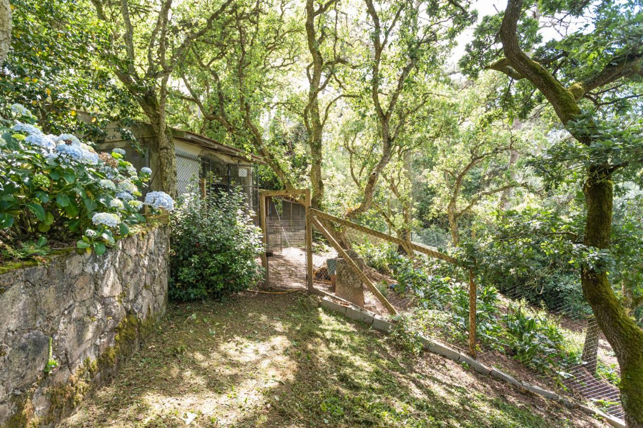 Quinta Biologica, Com Vista, Na Serra De Sintra Eksteriør bilde