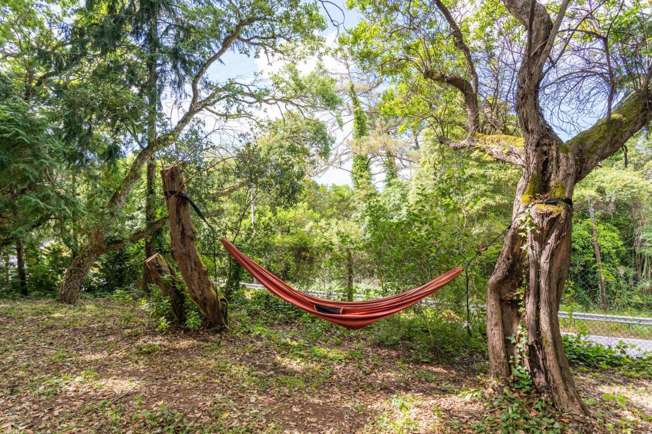 Quinta Biologica, Com Vista, Na Serra De Sintra Eksteriør bilde