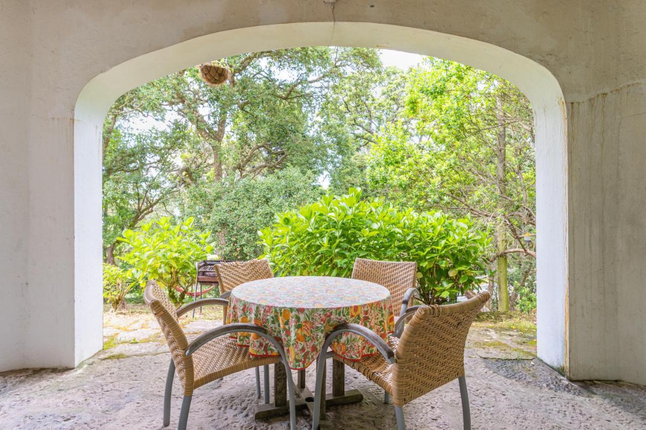 Quinta Biologica, Com Vista, Na Serra De Sintra Eksteriør bilde