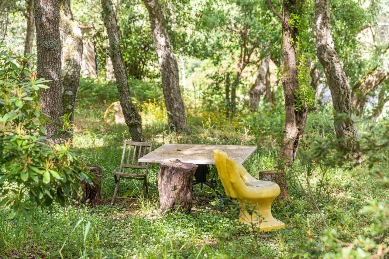 Quinta Biologica, Com Vista, Na Serra De Sintra Eksteriør bilde