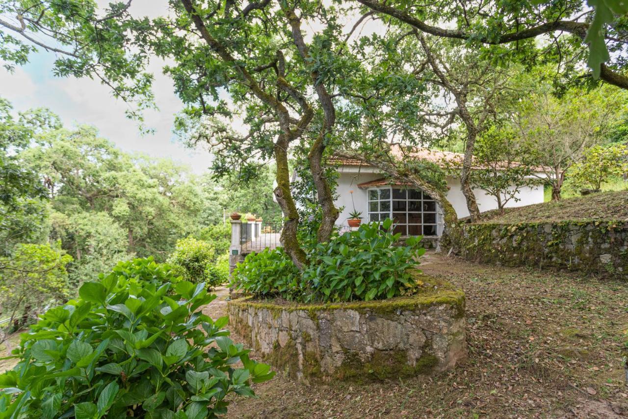 Quinta Biologica, Com Vista, Na Serra De Sintra Eksteriør bilde