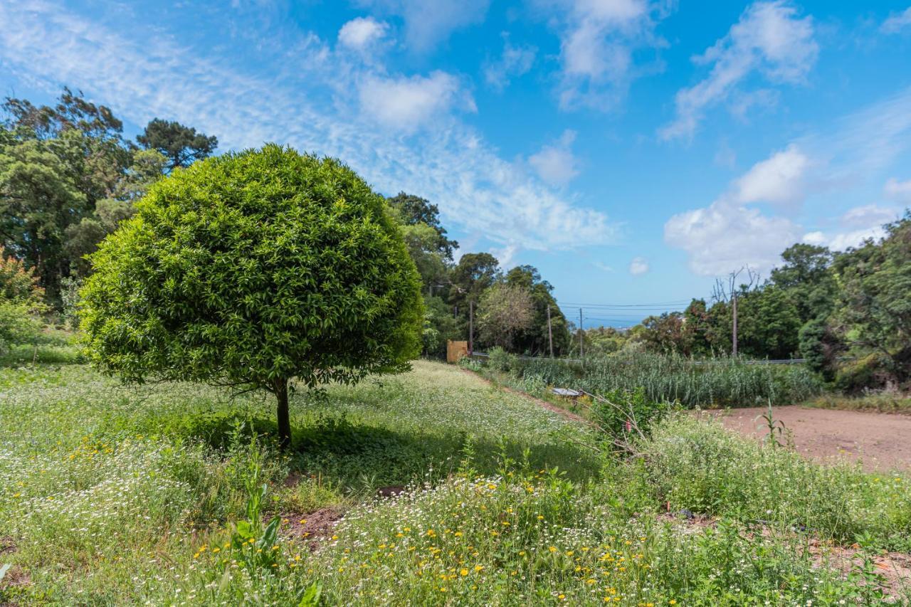 Quinta Biologica, Com Vista, Na Serra De Sintra Eksteriør bilde