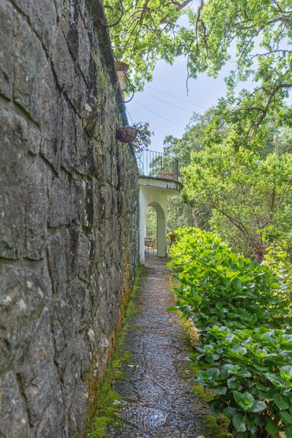 Quinta Biologica, Com Vista, Na Serra De Sintra Eksteriør bilde